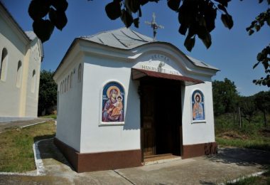 manastirea-alba-petrilova